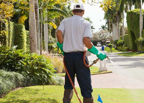 About Canton TX Pest Control